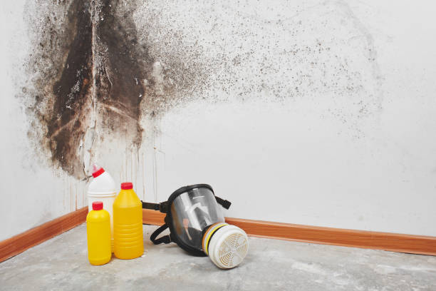Best Mold Testing  in Deerwood, TX