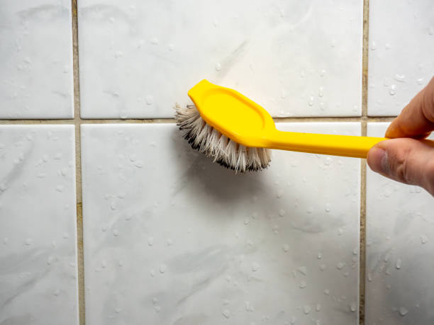 Best Office Mold Removal Services  in Deerwood, TX