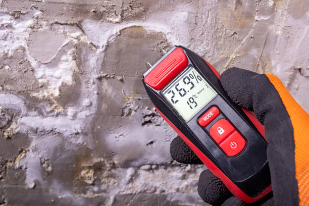 Best Certified Mold Removal  in Deerwood, TX
