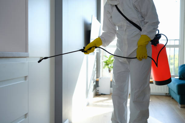 Best Mold Cleaning Services  in Deerwood, TX