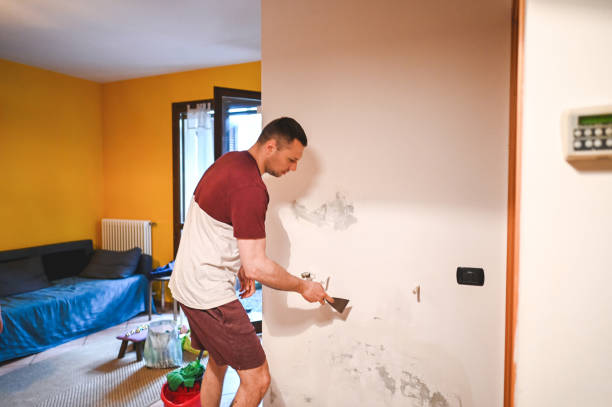 Reliable Deerwood, TX Mold Removal Solutions